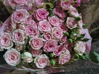 Mazzo di rose rosa ramipicante