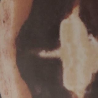 449. Daifuku Crema Chocolate (1 Pza.)