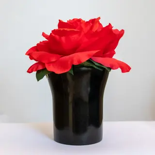 Arranjo São Rosas
