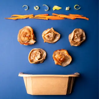 Gyoza veg - 5 pezzi