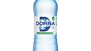 APA PLATA DORNA 500ml