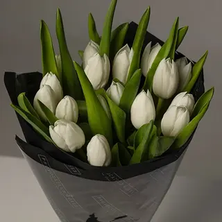 Ramo de 20 tulipanes blancos premium 
