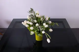 SOLO BIANCO