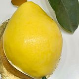 CITRON 