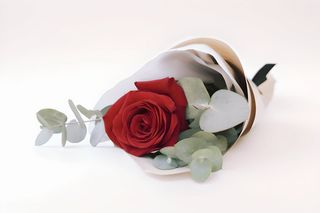 Single red rose bouquet