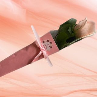 Trandafir roz in ambalaj