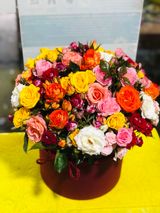 ჯუჯა ვარდების კოლოფი დიდი