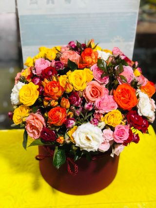 ჯუჯა ვარდების კოლოფი დიდი