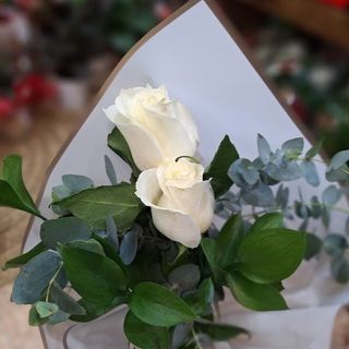 Dúo Rosas Blancas "El Copo"