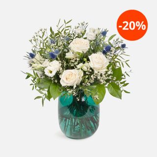 Colvin Wise like her Essential