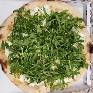 Delicata