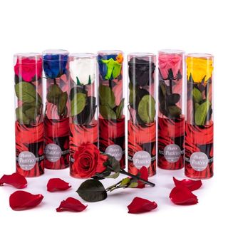 ROSA ROJA TALLO CORTO PRESERVADA