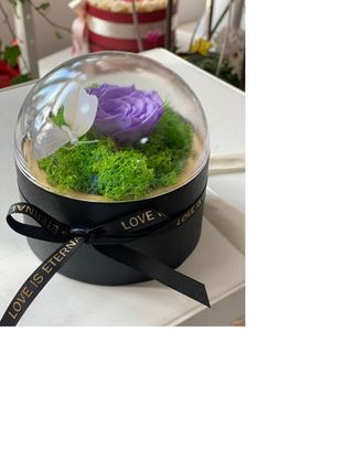 Trandafir Criogenat Cutie Neagra