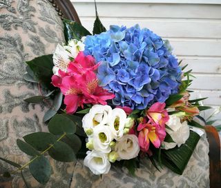 Buchet Hydrangea rules