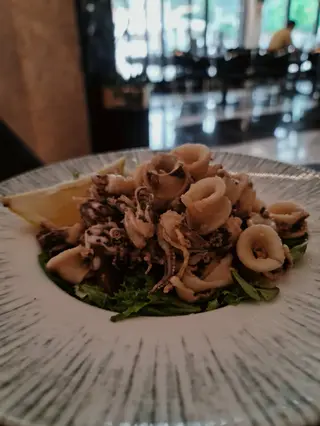 Calamari Dalmacija