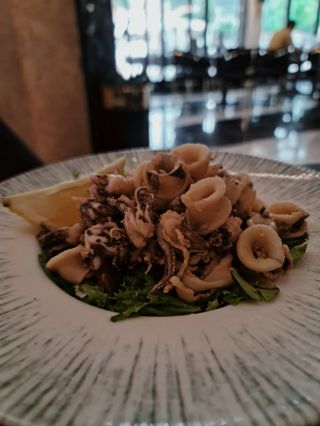 Calamari Dalmacija