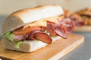 Pulga de lomo unión