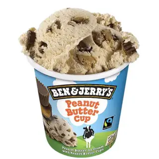 Ben & Jerry's Peanut Butter Cup (465 ml.)