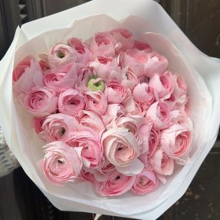 Cotton Candy / 25 Ranunculos 