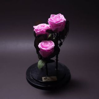 3 trandafiri criogenați roz în cupolă mare