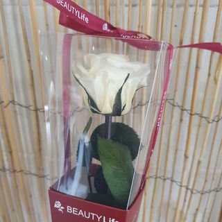 Rosa Preservada Branca