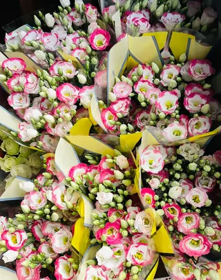 Grande Bouquet di Lisanthus rosa