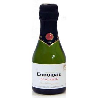 Sparkling Wine Benjamin Codorniu (200 Ml.)
