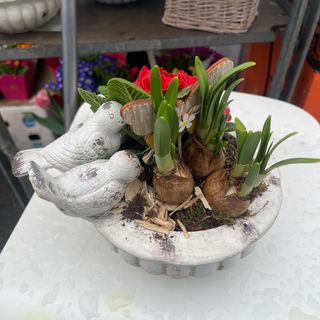 aranjament plante  cu pasari din ceramic