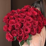 Червона троянда «Евер Ред»  1 шт