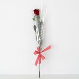 Rosa Roja individual