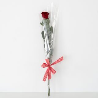 Rosa Roja individual