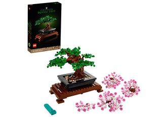Bonsai - 10281