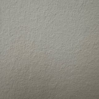 Carota bianco in agrodolce 