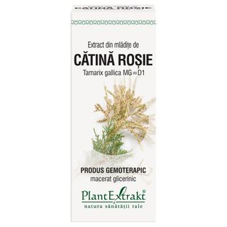 Extract din mladite de catina rosie (TAMARIX GALLICA)
