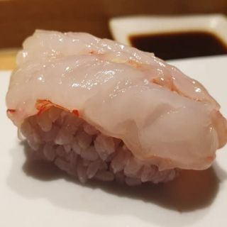 Nigiri De Gamba