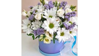 თეთრი,ქრიზანტემა,ისსამნ.გიფსოფილა