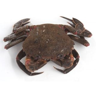 Nécora Viva 500 Gr.