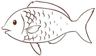 Tartare di tonno con agrumi