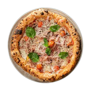 AMATRICIANA