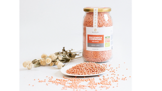 Soczewica Czerwona BIO 800g