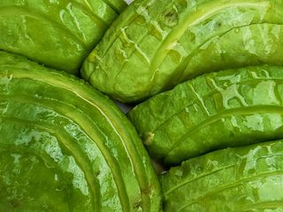 Авокадо (50g)