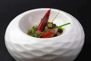 05. Tartare amaebi