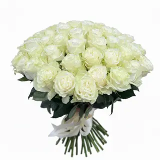 Pure Élégance (Roses Blanches)