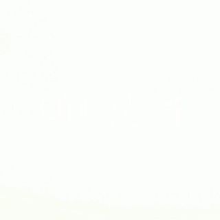 Pizza de Galinha (Grande)