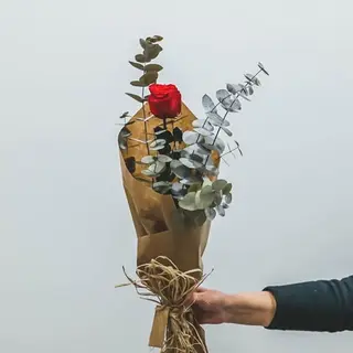 Rosa eterna