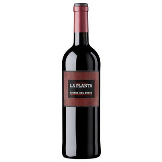 Vino tinto ribera del duero la planta roble