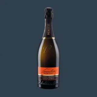 Montesel Conegliano-Valdobbiadene DOCG Prosecco Superiore Extra Dry “Vigna del Paradiso”