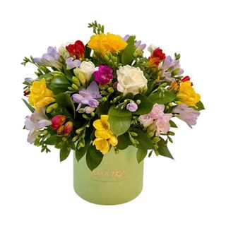 Cutie cu frezii multicolor