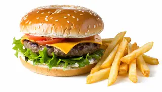 Cheeseburger de Vita 350g