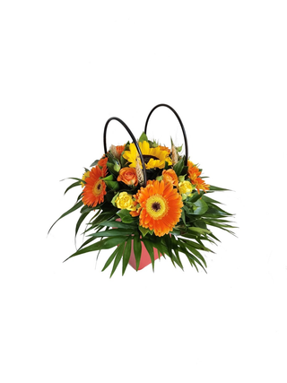 Cosulet Yellow